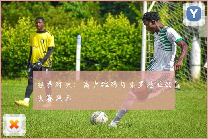 经典对决:高卢雄鸡与克罗地亚的决赛风云