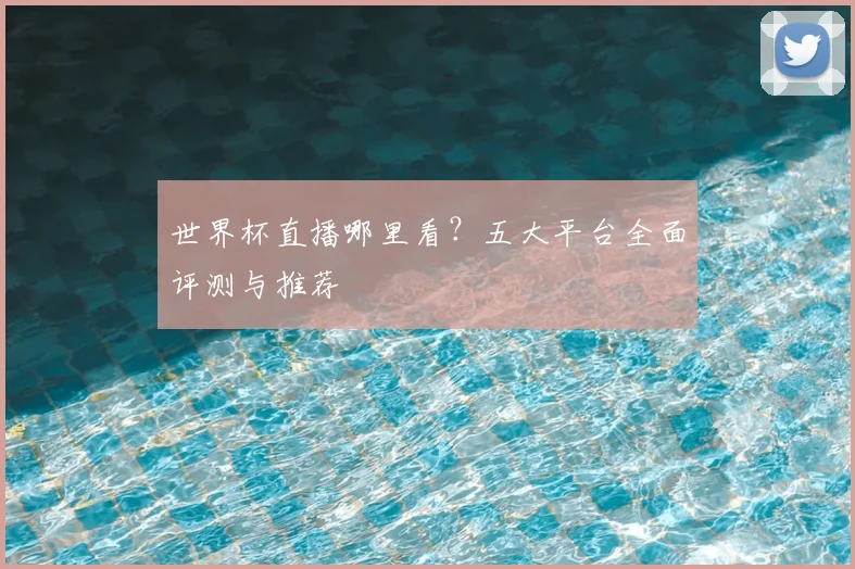 世界杯直播哪里看?五大平台全面评测与推荐