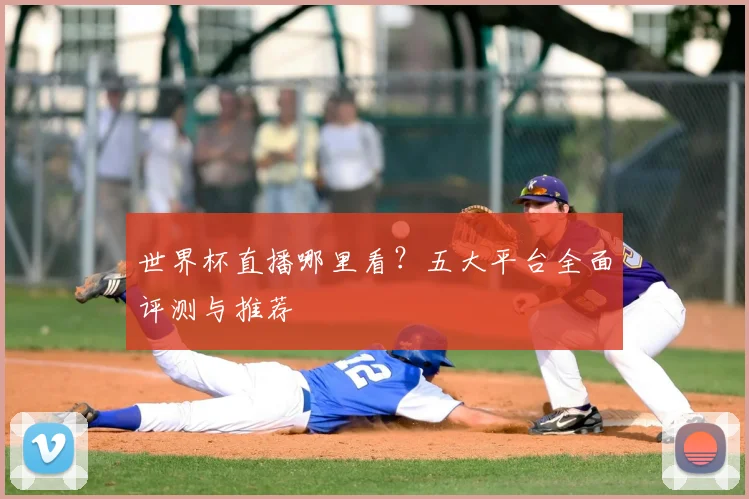 世界杯直播哪里看?五大平台全面评测与推荐