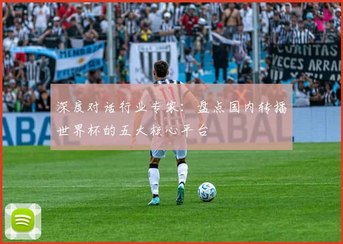 深度对话行业专家：盘点国内转播世界杯的五大核心平台