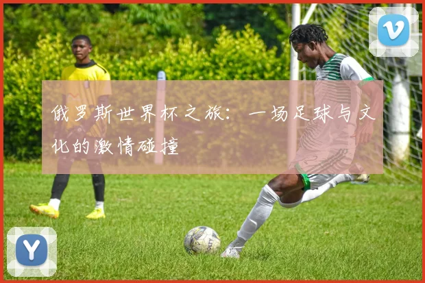 俄罗斯世界杯之旅：一场足球与文化的激情碰撞