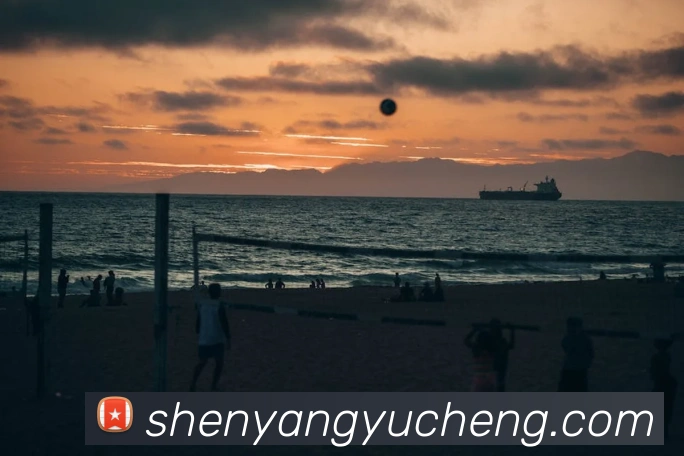 米兰体育在线登陆入口服务体系